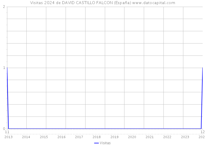 Visitas 2024 de DAVID CASTILLO FALCON (España) 