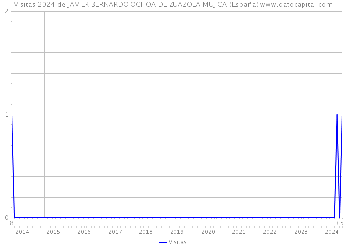 Visitas 2024 de JAVIER BERNARDO OCHOA DE ZUAZOLA MUJICA (España) 
