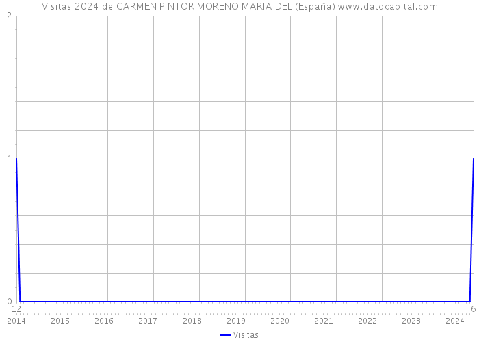 Visitas 2024 de CARMEN PINTOR MORENO MARIA DEL (España) 