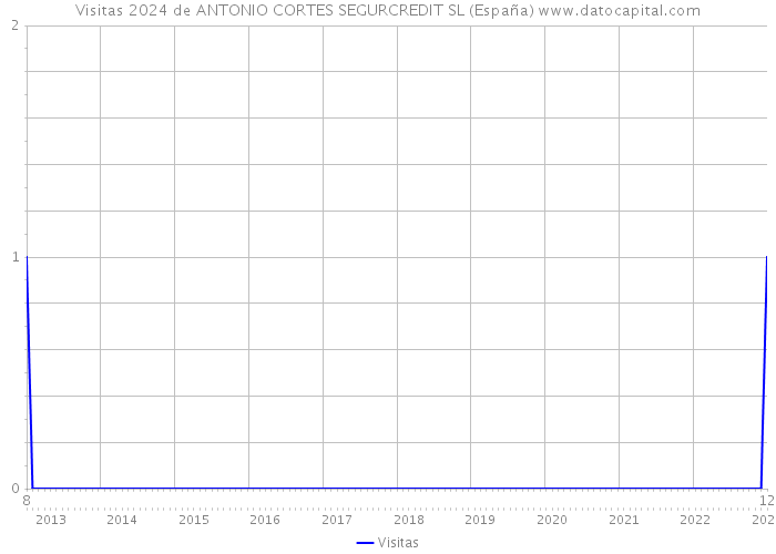 Visitas 2024 de ANTONIO CORTES SEGURCREDIT SL (España) 
