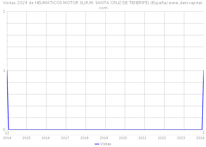 Visitas 2024 de NEUMATICOS MOTOR SL(R.M. SANTA CRUZ DE TENERIFE) (España) 