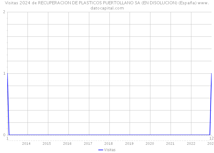 Visitas 2024 de RECUPERACION DE PLASTICOS PUERTOLLANO SA (EN DISOLUCION) (España) 
