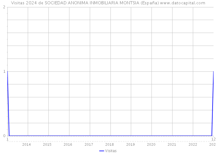 Visitas 2024 de SOCIEDAD ANONIMA INMOBILIARIA MONTSIA (España) 