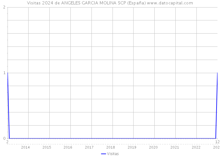 Visitas 2024 de ANGELES GARCIA MOLINA SCP (España) 