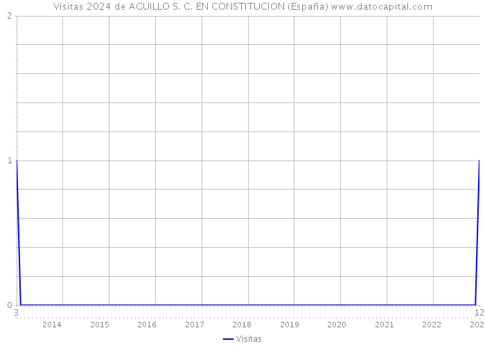 Visitas 2024 de AGUILLO S. C. EN CONSTITUCION (España) 