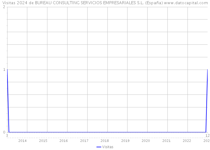 Visitas 2024 de BUREAU CONSULTING SERVICIOS EMPRESARIALES S.L. (España) 