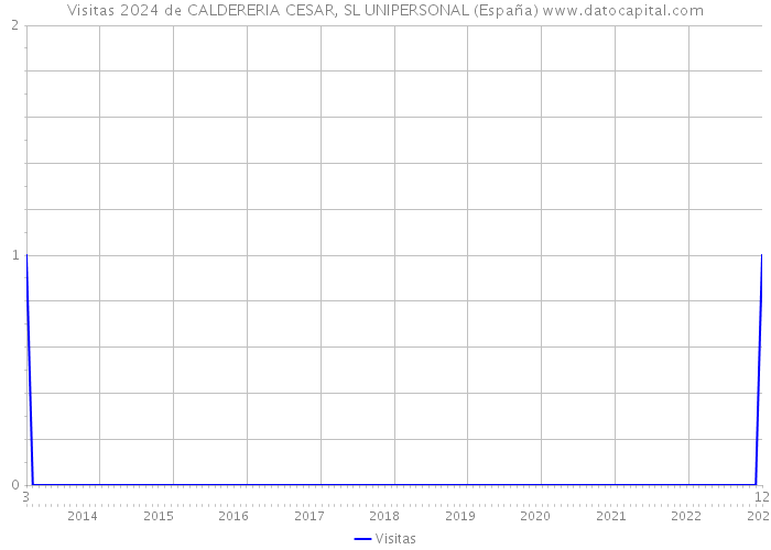 Visitas 2024 de CALDERERIA CESAR, SL UNIPERSONAL (España) 
