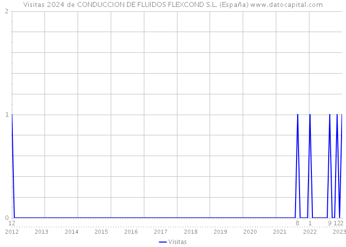 Visitas 2024 de CONDUCCION DE FLUIDOS FLEXCOND S.L. (España) 