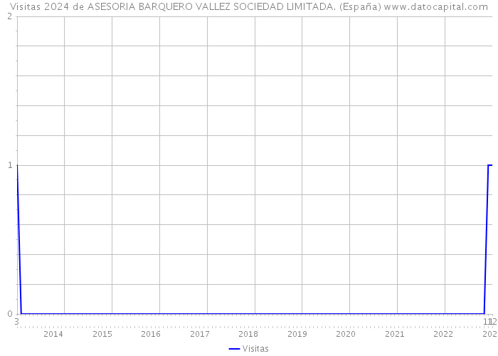 Visitas 2024 de ASESORIA BARQUERO VALLEZ SOCIEDAD LIMITADA. (España) 