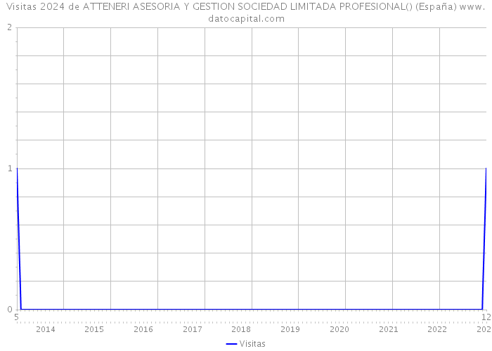 Visitas 2024 de ATTENERI ASESORIA Y GESTION SOCIEDAD LIMITADA PROFESIONAL() (España) 