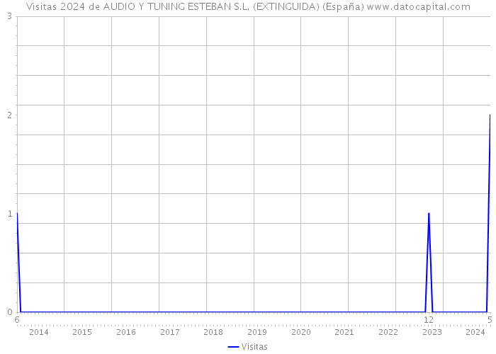 Visitas 2024 de AUDIO Y TUNING ESTEBAN S.L. (EXTINGUIDA) (España) 