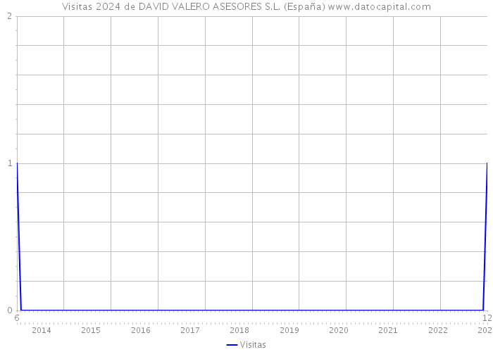 Visitas 2024 de DAVID VALERO ASESORES S.L. (España) 