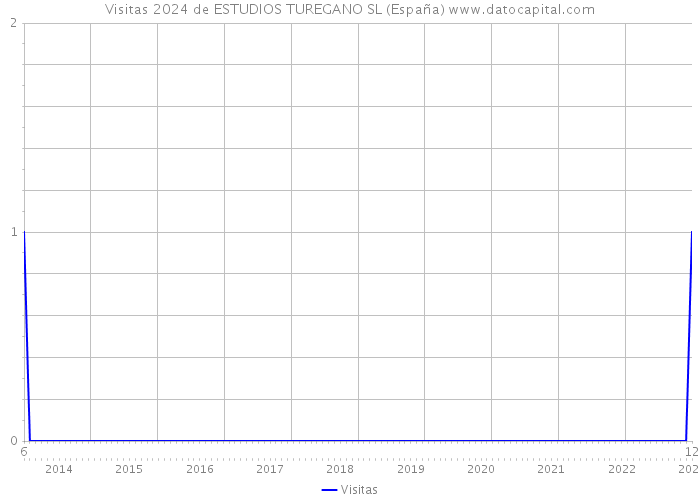 Visitas 2024 de ESTUDIOS TUREGANO SL (España) 