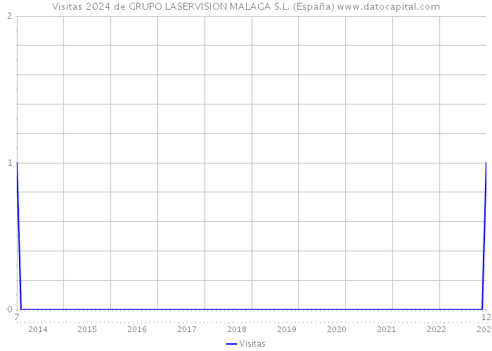 Visitas 2024 de GRUPO LASERVISION MALAGA S.L. (España) 
