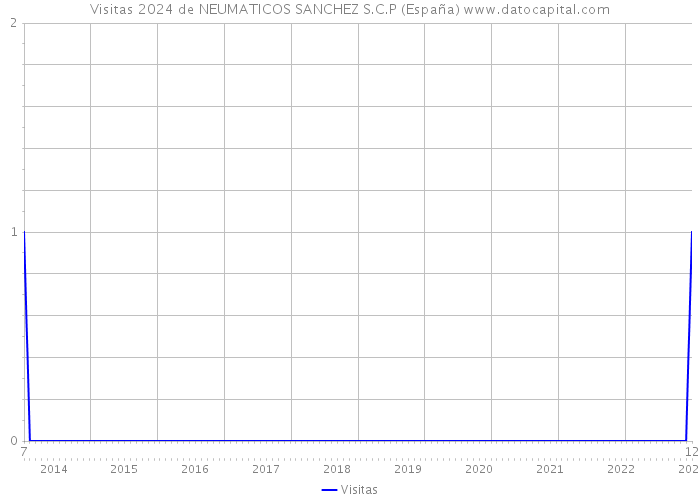 Visitas 2024 de NEUMATICOS SANCHEZ S.C.P (España) 
