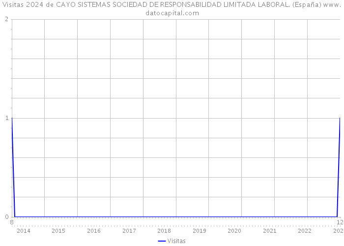 Visitas 2024 de CAYO SISTEMAS SOCIEDAD DE RESPONSABILIDAD LIMITADA LABORAL. (España) 