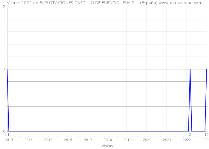 Visitas 2024 de EXPLOTACIONES CASTILLO DE FUENTIDUENA S.L. (España) 