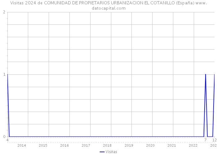 Visitas 2024 de COMUNIDAD DE PROPIETARIOS URBANIZACION EL COTANILLO (España) 