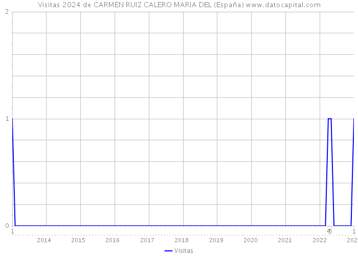 Visitas 2024 de CARMEN RUIZ CALERO MARIA DEL (España) 
