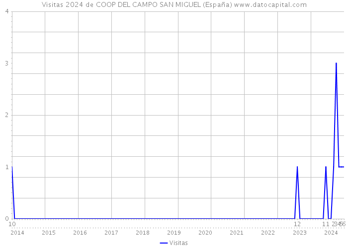 Visitas 2024 de COOP DEL CAMPO SAN MIGUEL (España) 