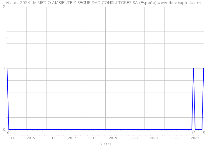 Visitas 2024 de MEDIO AMBIENTE Y SEGURIDAD CONSULTORES SA (España) 