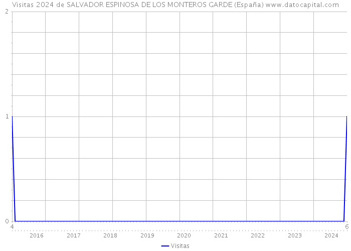 Visitas 2024 de SALVADOR ESPINOSA DE LOS MONTEROS GARDE (España) 