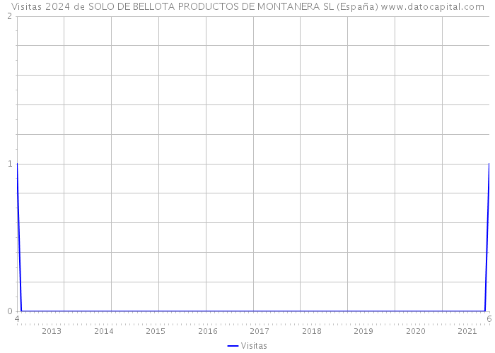 Visitas 2024 de SOLO DE BELLOTA PRODUCTOS DE MONTANERA SL (España) 