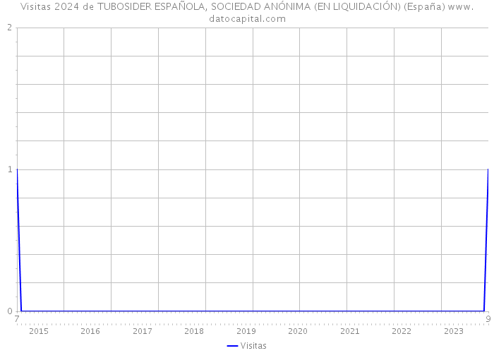 Visitas 2024 de TUBOSIDER ESPAÑOLA, SOCIEDAD ANÓNIMA (EN LIQUIDACIÓN) (España) 
