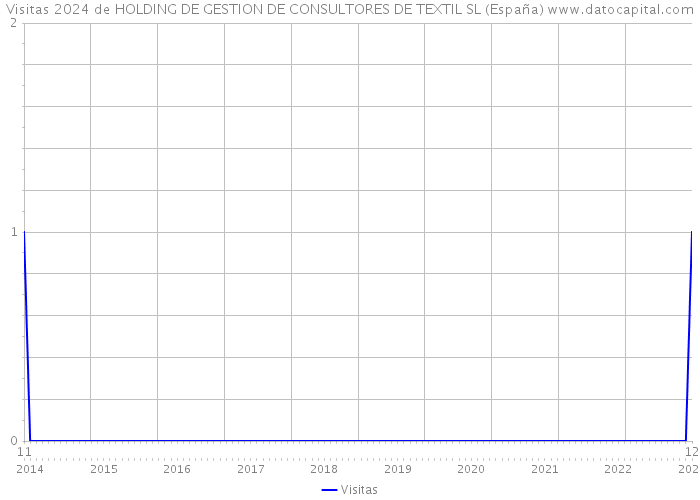 Visitas 2024 de HOLDING DE GESTION DE CONSULTORES DE TEXTIL SL (España) 