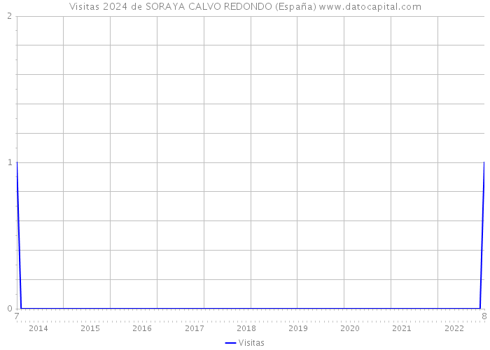 Visitas 2024 de SORAYA CALVO REDONDO (España) 