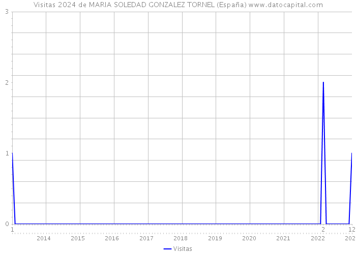Visitas 2024 de MARIA SOLEDAD GONZALEZ TORNEL (España) 