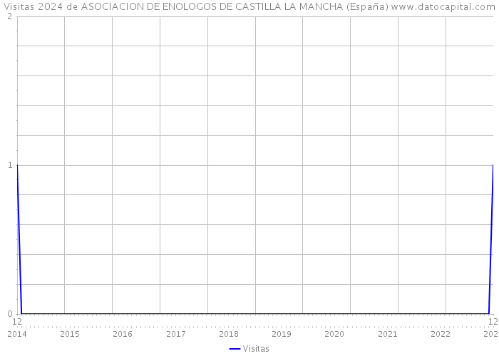 Visitas 2024 de ASOCIACION DE ENOLOGOS DE CASTILLA LA MANCHA (España) 