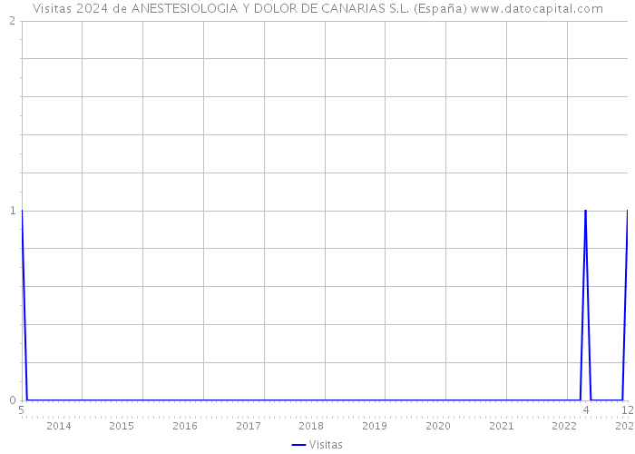 Visitas 2024 de ANESTESIOLOGIA Y DOLOR DE CANARIAS S.L. (España) 