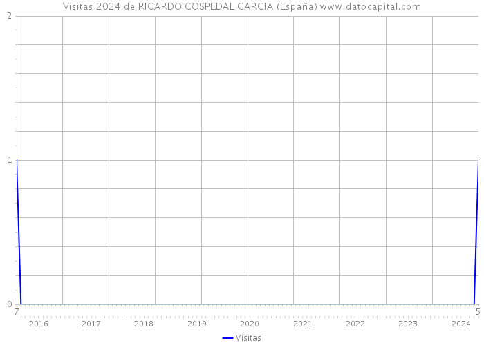 Visitas 2024 de RICARDO COSPEDAL GARCIA (España) 