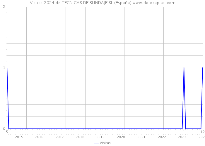 Visitas 2024 de TECNICAS DE BLINDAJE SL (España) 