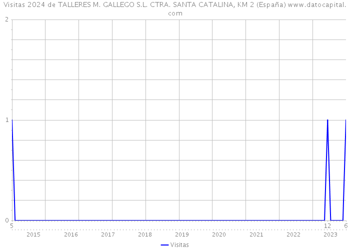 Visitas 2024 de TALLERES M. GALLEGO S.L. CTRA. SANTA CATALINA, KM 2 (España) 