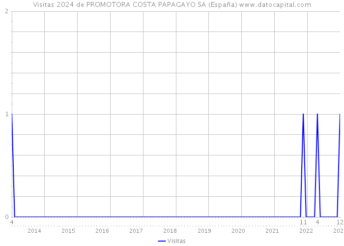 Visitas 2024 de PROMOTORA COSTA PAPAGAYO SA (España) 