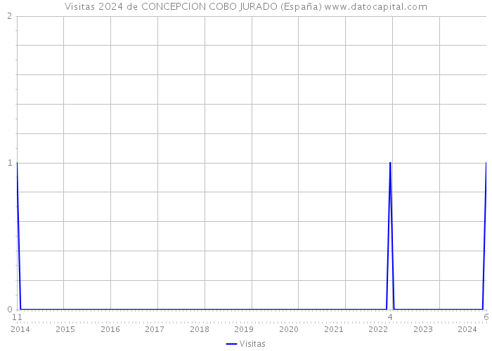 Visitas 2024 de CONCEPCION COBO JURADO (España) 