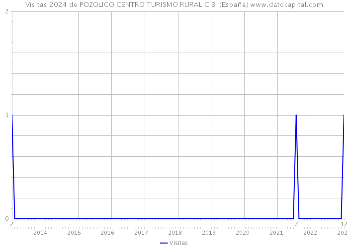 Visitas 2024 de POZOLICO CENTRO TURISMO RURAL C.B. (España) 