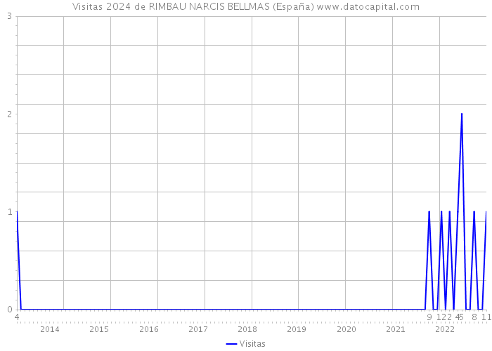 Visitas 2024 de RIMBAU NARCIS BELLMAS (España) 