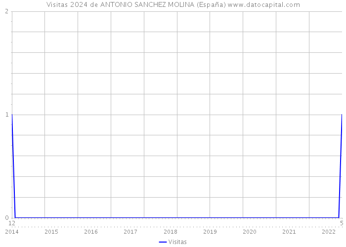 Visitas 2024 de ANTONIO SANCHEZ MOLINA (España) 