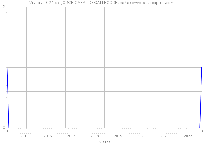 Visitas 2024 de JORGE CABALLO GALLEGO (España) 