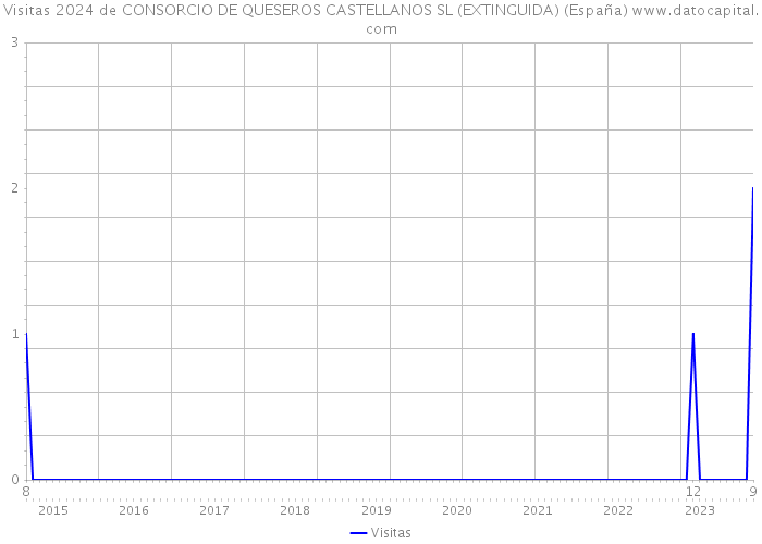 Visitas 2024 de CONSORCIO DE QUESEROS CASTELLANOS SL (EXTINGUIDA) (España) 