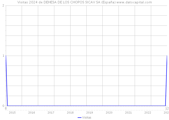 Visitas 2024 de DEHESA DE LOS CHOPOS SICAV SA (España) 