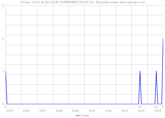 Visitas 2024 de ECOSUR SUPERMERCADOS S.L. (España) 