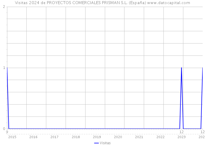 Visitas 2024 de PROYECTOS COMERCIALES PRISMAN S.L. (España) 