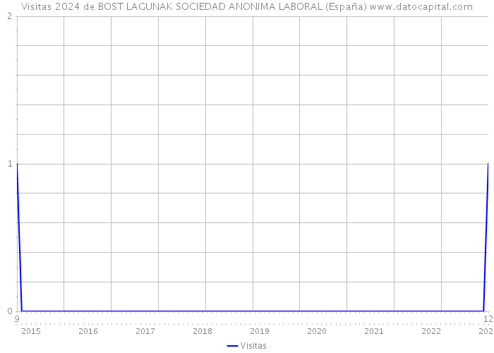 Visitas 2024 de BOST LAGUNAK SOCIEDAD ANONIMA LABORAL (España) 