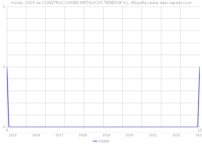 Visitas 2024 de CONSTRUCCIONES METALICAS TENESOR S.L. (España) 