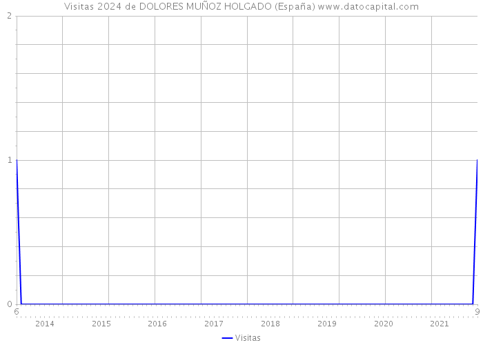 Visitas 2024 de DOLORES MUÑOZ HOLGADO (España) 