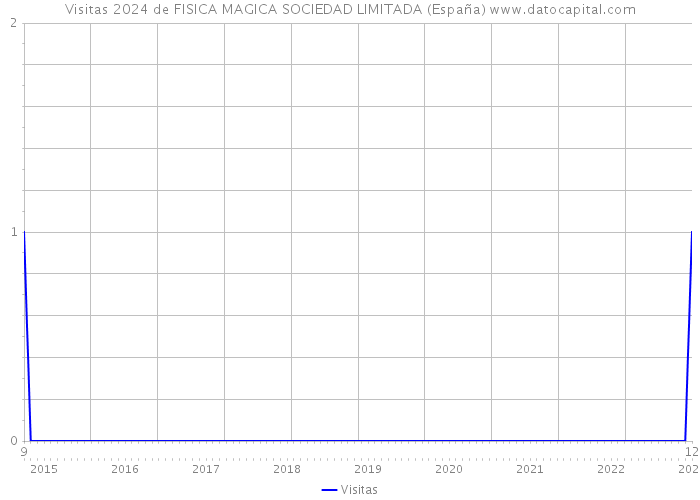 Visitas 2024 de FISICA MAGICA SOCIEDAD LIMITADA (España) 